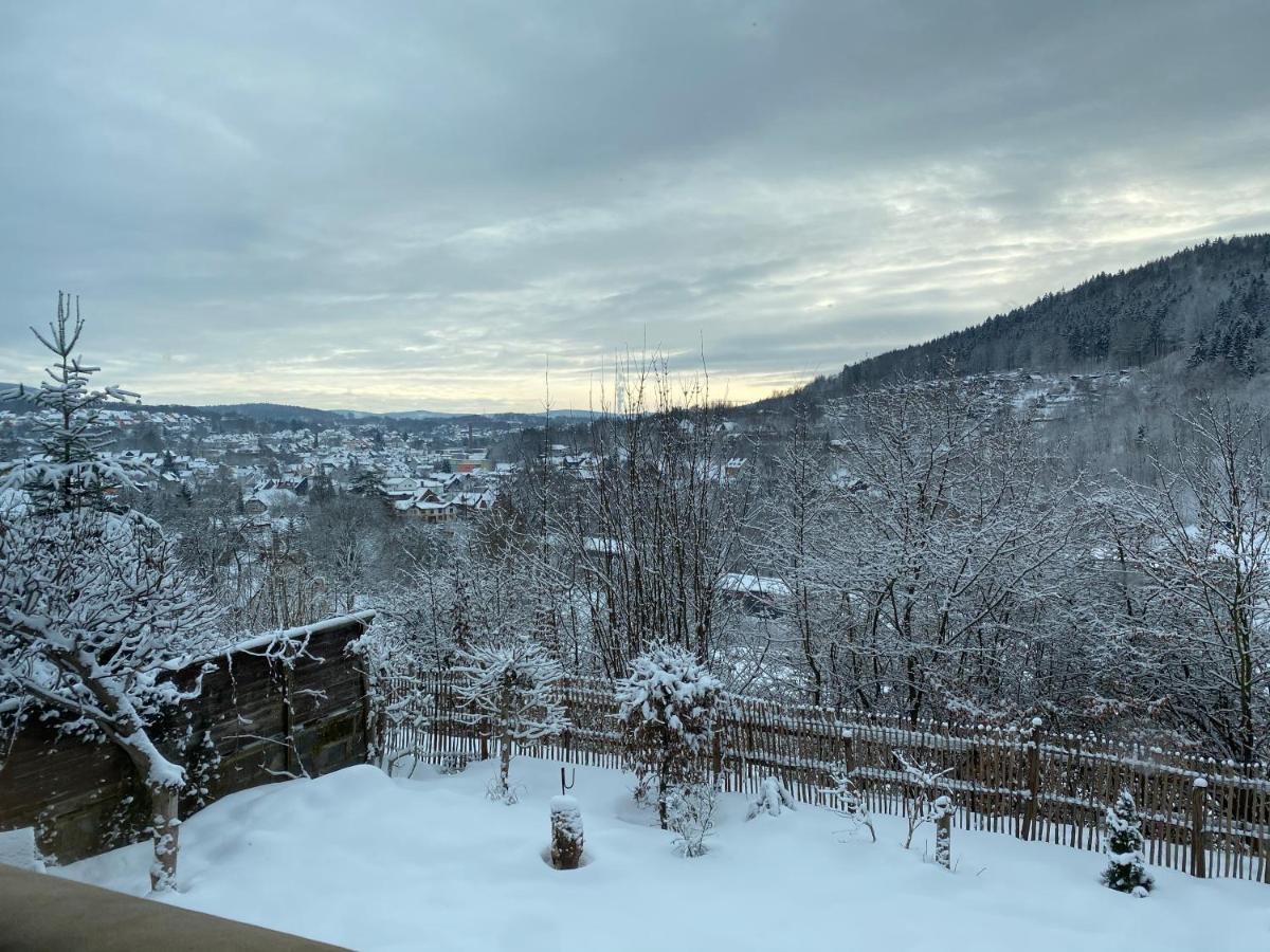 Chalet Huettenzauber Zella-Mehlis Esterno foto