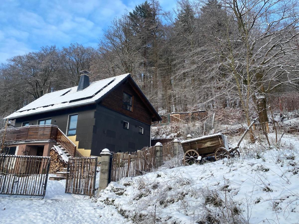 Chalet Huettenzauber Zella-Mehlis Esterno foto